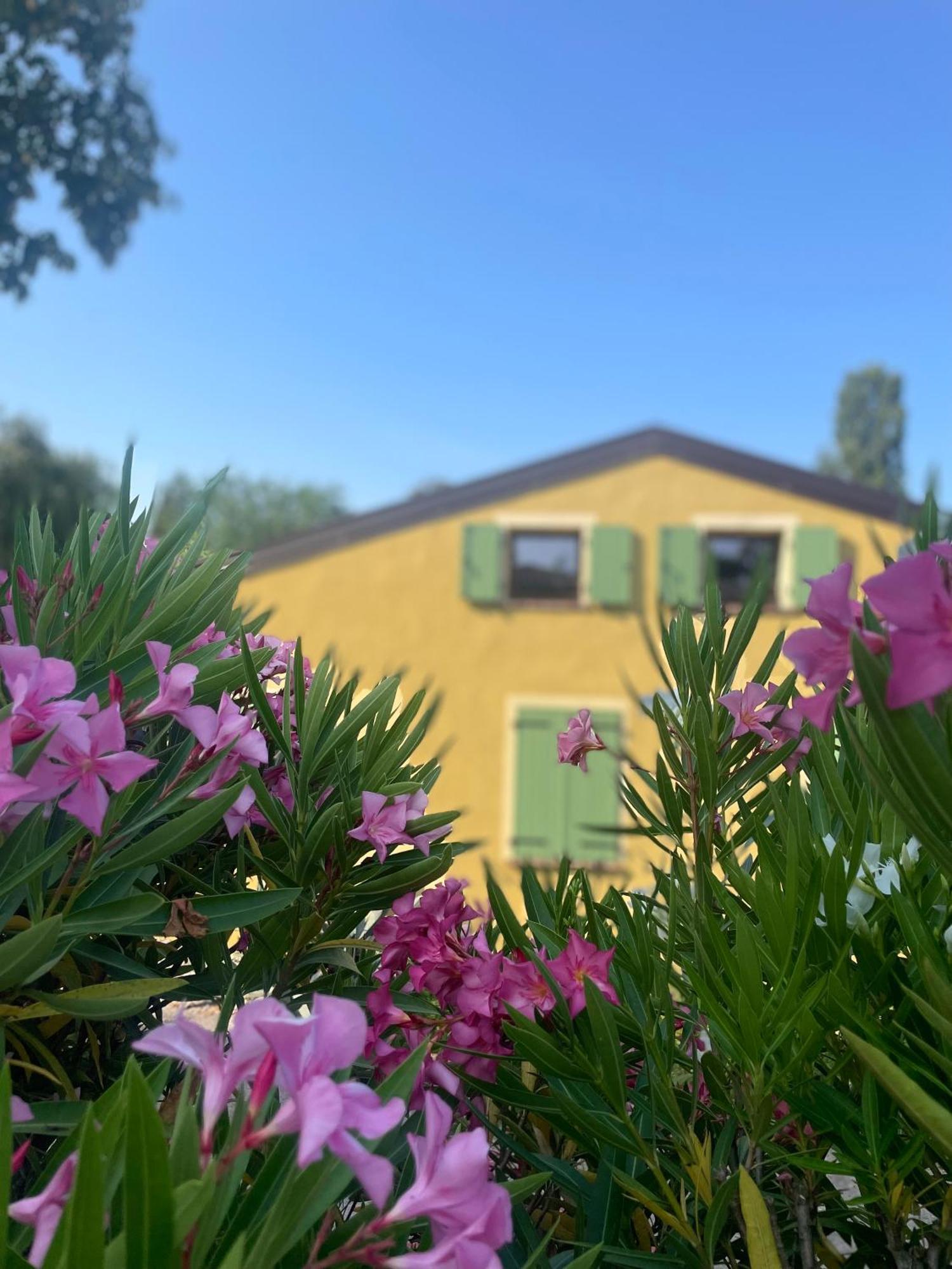 Corte Attilea Valeggio sul Mincio Esterno foto